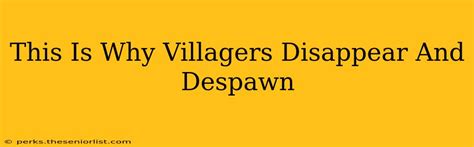 villager despawn minecraft|this is why villagers disappear and despawn..